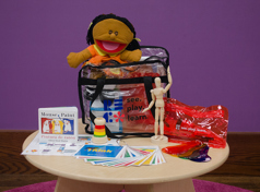 See Play Learn kit