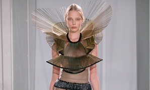 Iris van Herpen dress