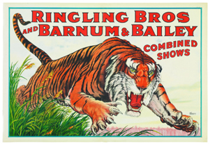 Circus Poster