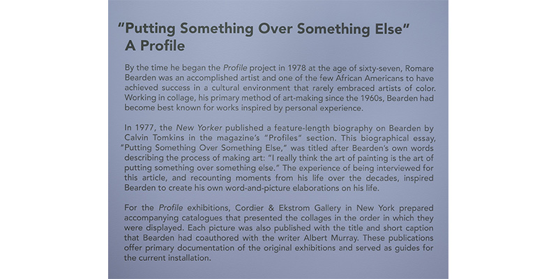 exhibition description on wall