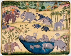Court Paintings of India