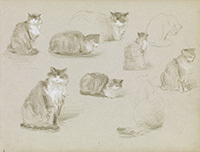 Elizabeth Nourse (American, 1859–1938), Sketches of a Cat, circa 1889, graphite pencil and white chalk on paper, from Sketchbook 7, Gift of the Mercantile Library, Cincinnati, through the generosity of the Niehoff Family
