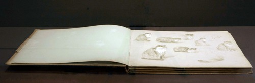 Elizabeth Nourse’s sketchbook