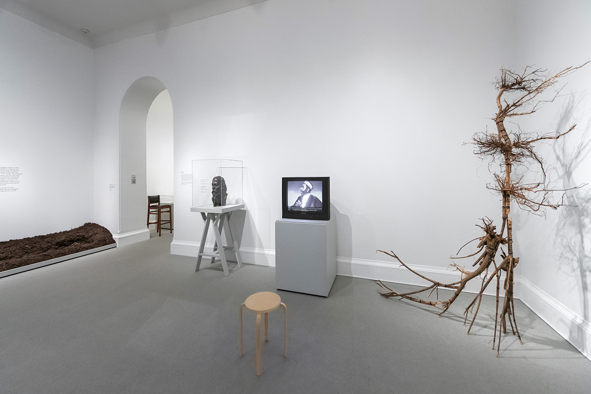 Several sculptures, including a TV on a stand and a tall form made from roots