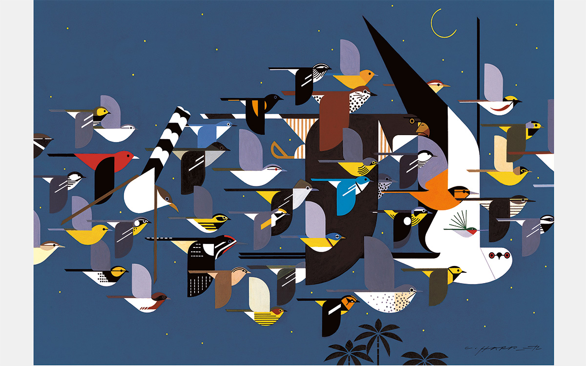 Abstracted image of a flock of birds composed of different species against a night sky.
