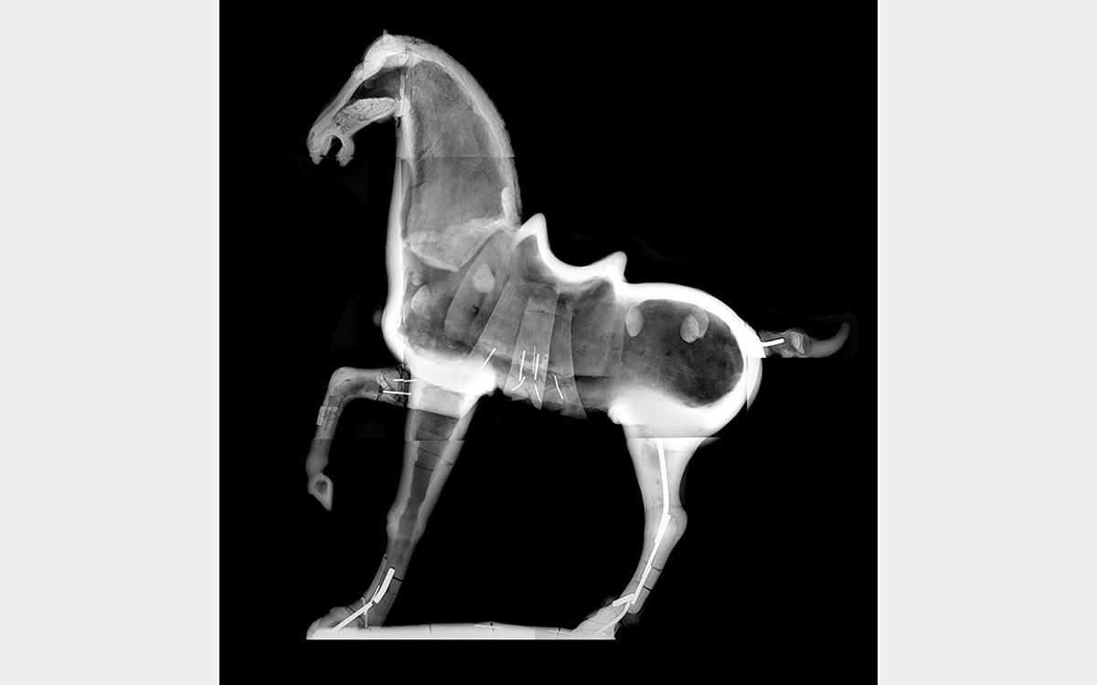 x-ray image of a horse sculpture with saddle